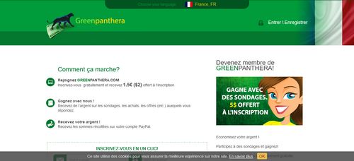 greenpanthera site de sondage remuneres francais